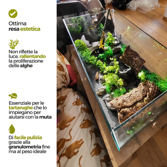 Fondale per tartarughe: sabbia per acquario