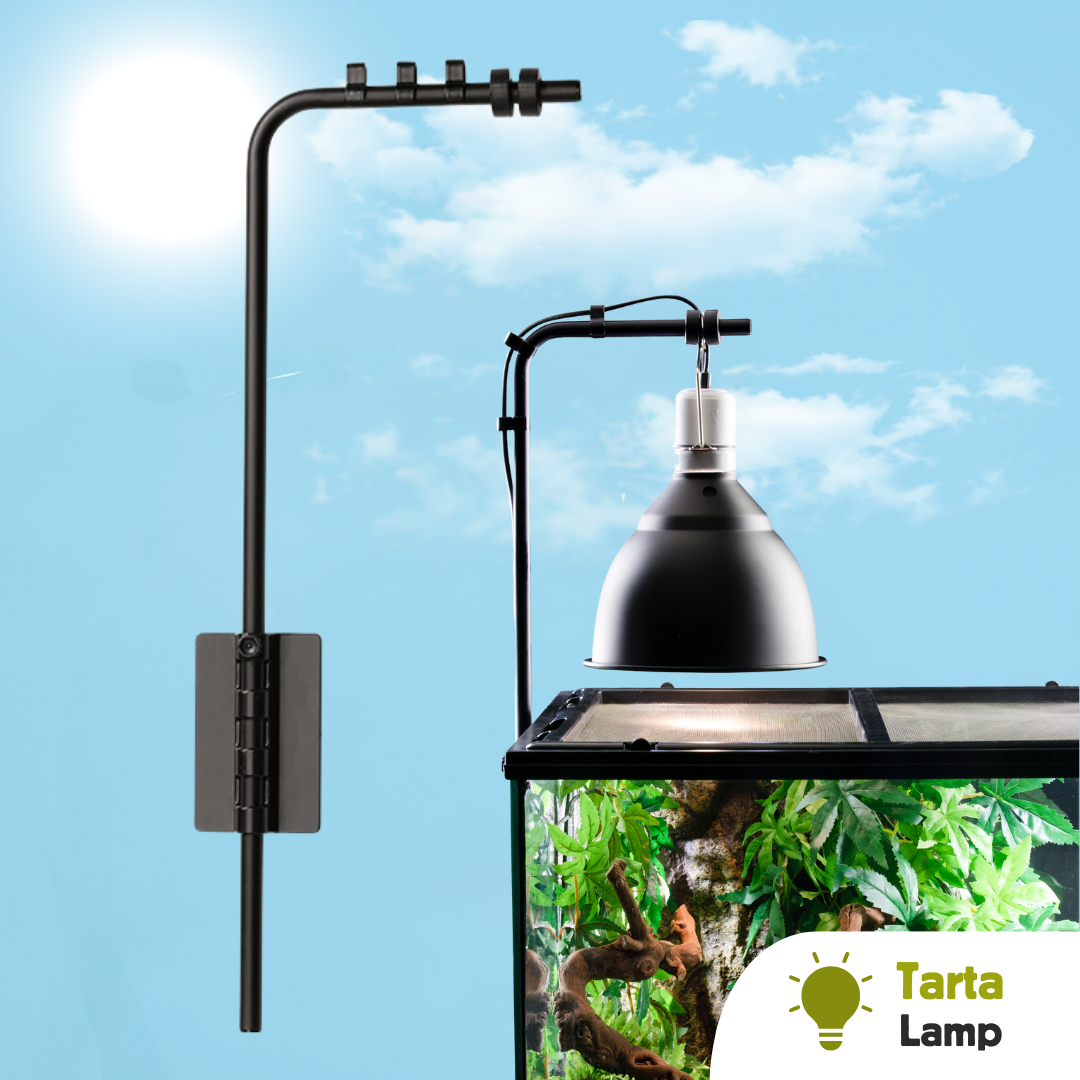 Supporto per lampada tartarughe in acquari terrari