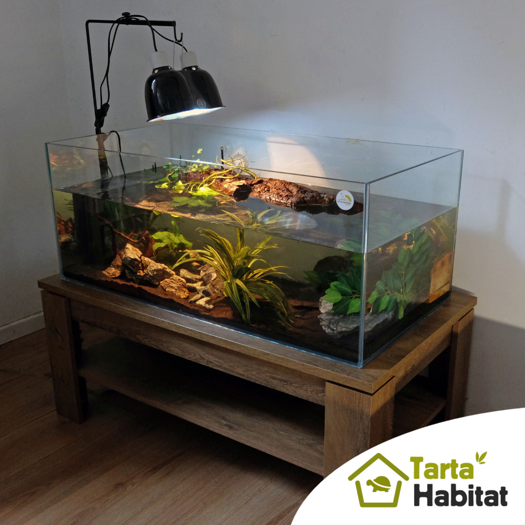 Tarta Habitat Acquario per tartarughe d'acqua 100x50x40 h cm