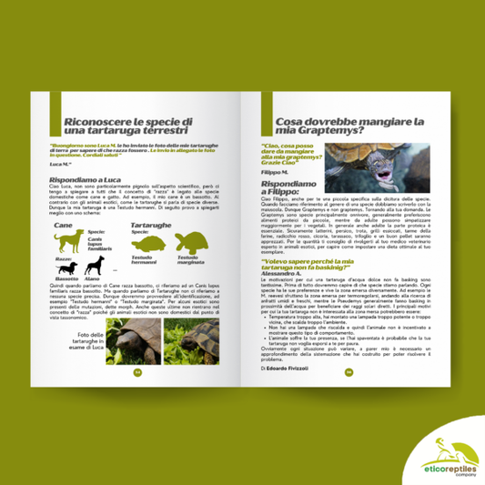 TartaGenius n°1, rivista tartarughe: Malaclemys terrapin e Centrochelys sulcata