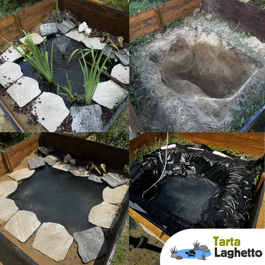 telo per laghetto tartarughe