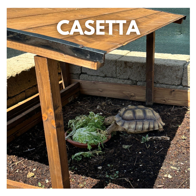Casette per tartarughe di terra