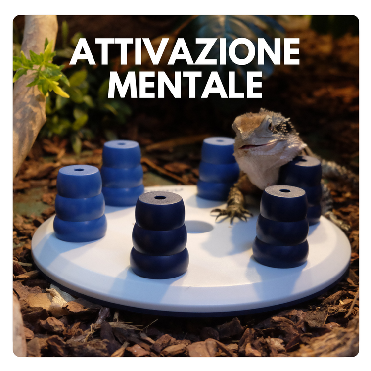 Giochi di Attivazione Mentale per Tartarughe, Rettili e Animali Esotici