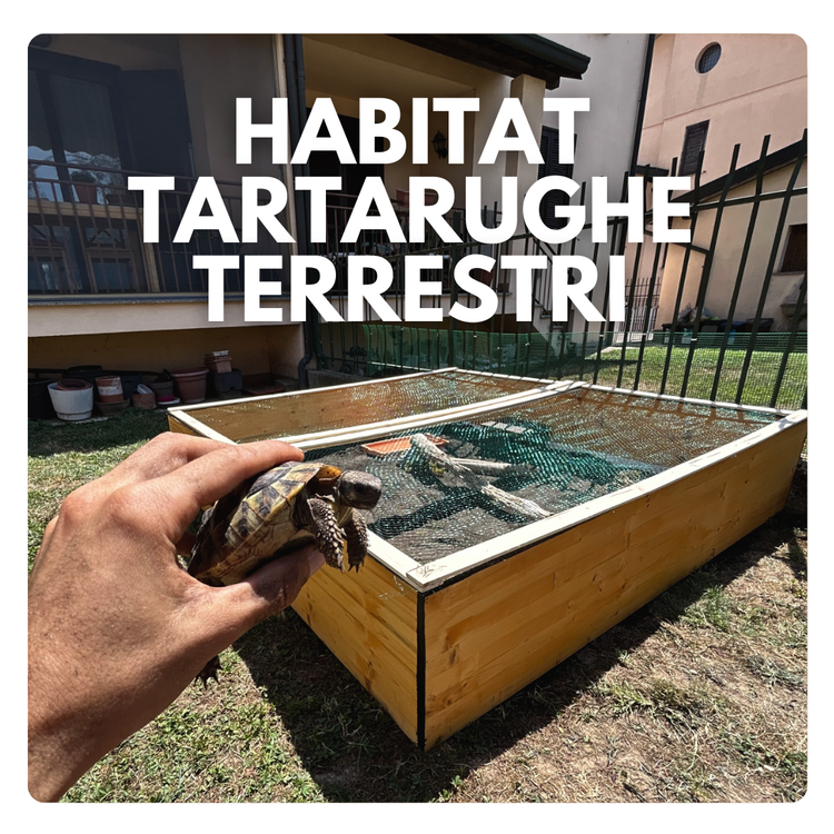 habitat per tartarughe terrestri