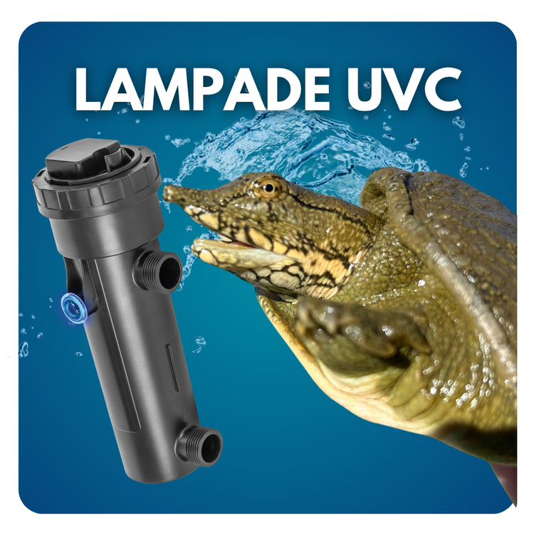 Lampade uvc sterilizzatrici per acquari e tartarughe