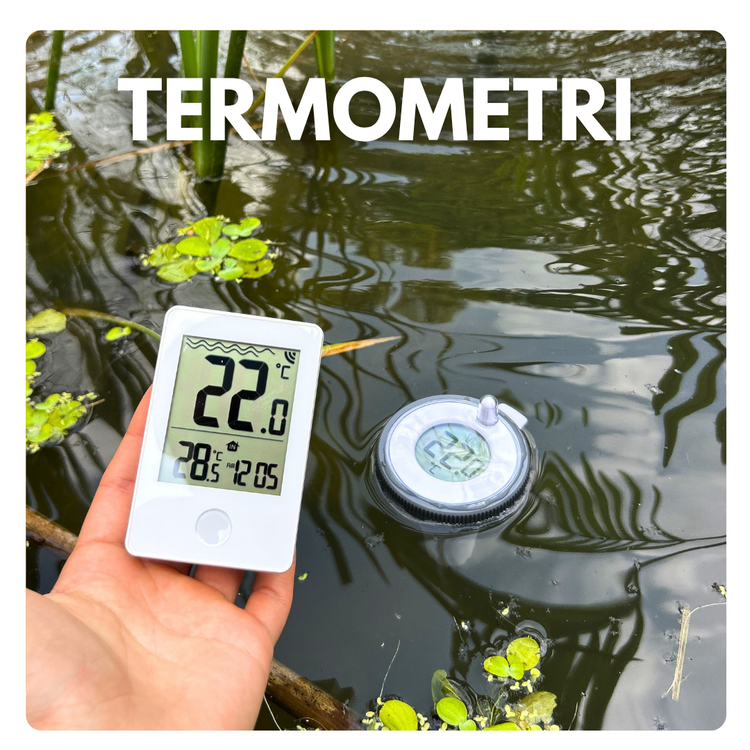 Termometri per habitat con rettili