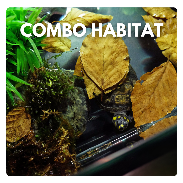 Combo habitat per specie tartarughe d'acqua dolce