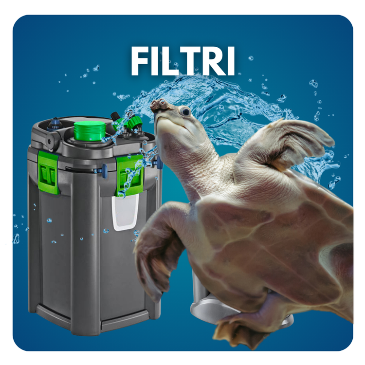 Filtro acquario tartarughe