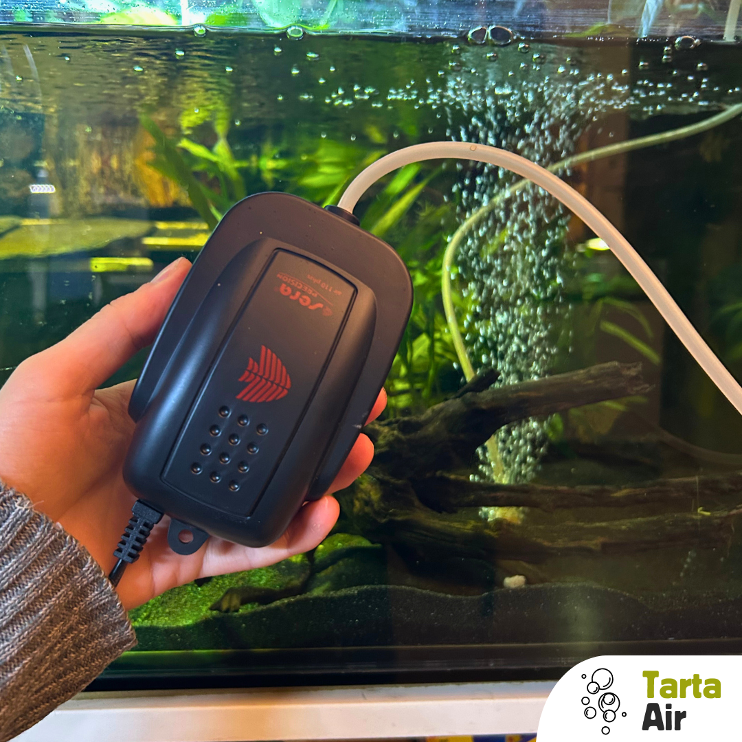 Aeratore per bolle in acquario kit incluso di tubo 5m e diffusore