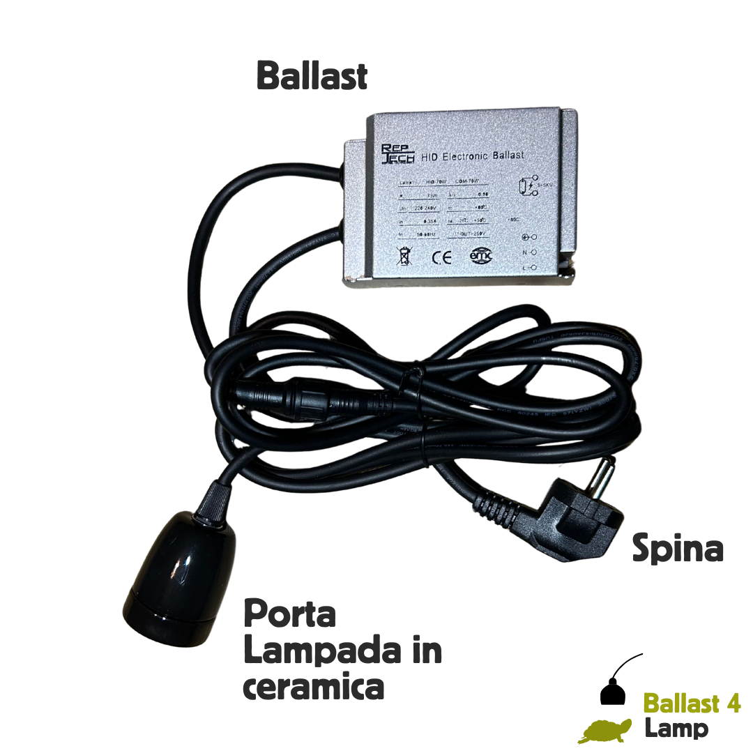 Ballast con portalampada per lampade HID 