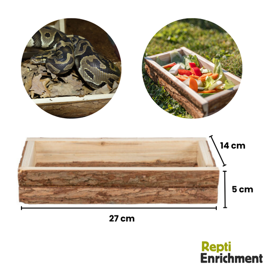 Base in legno per arricchimento ambientale ciotola rettili 
