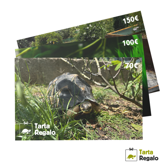 buoni regalo negozio rettili tartarughe