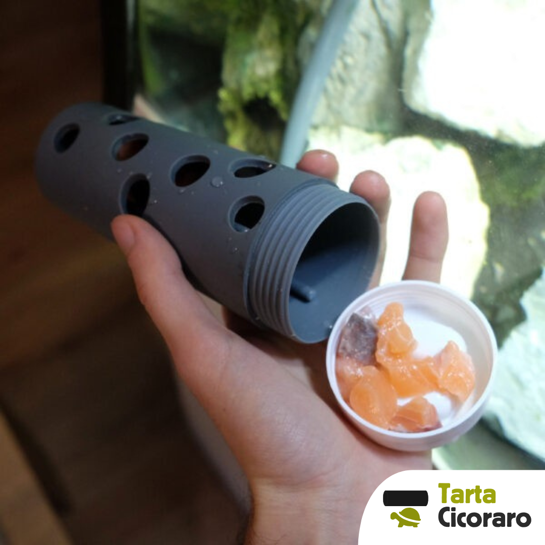 Ciociaro gioco di attivazione mentale per tartarughe d'acqua