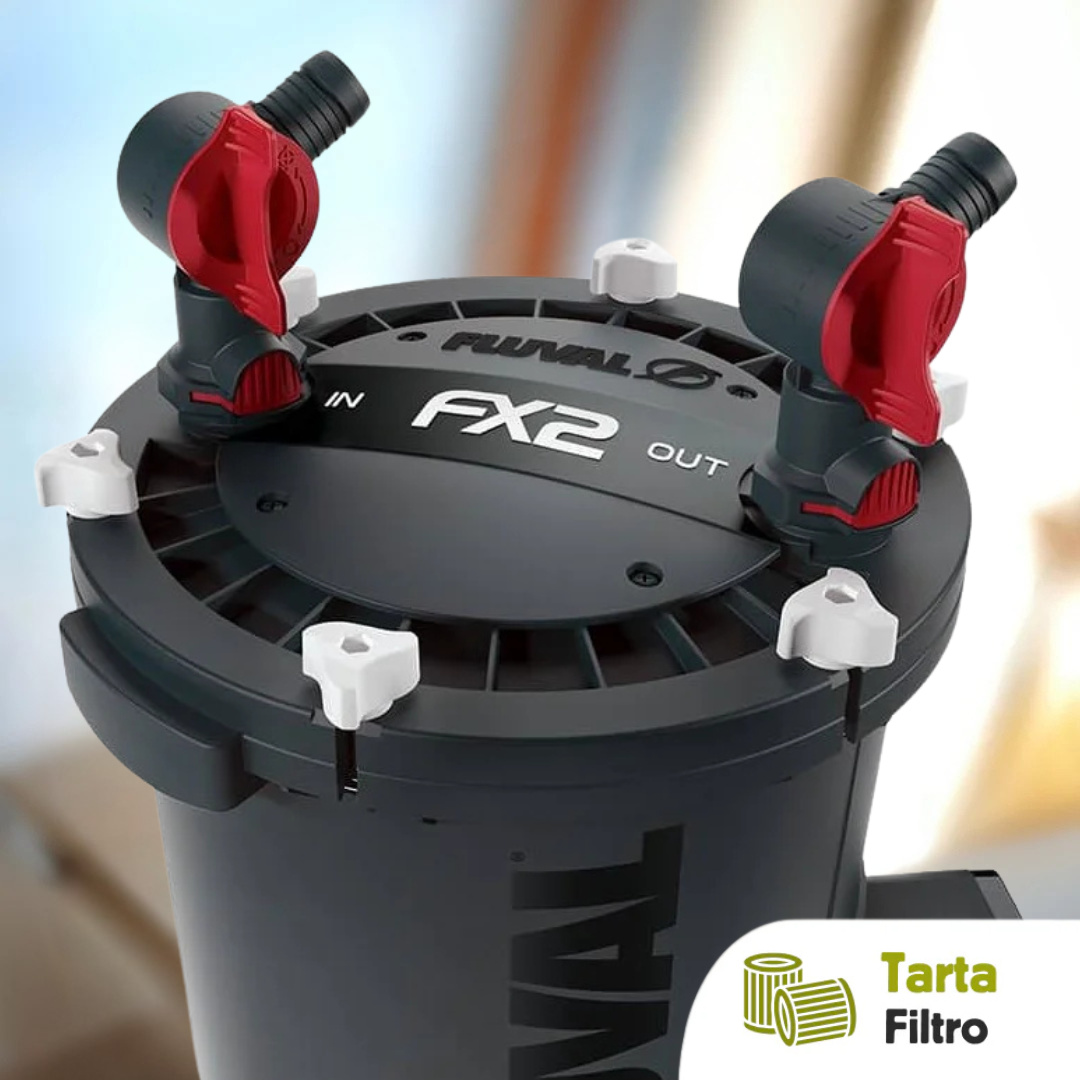 Filtro esterno XXL tartarughe d'acqua dolce 750 Litri