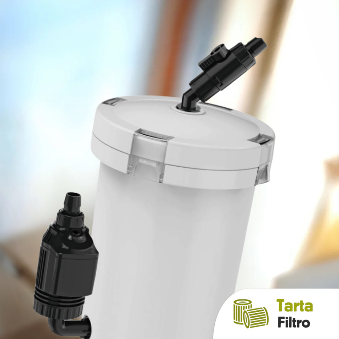 Filtro esterno M tartarughe d'acqua dolce 240 Litri