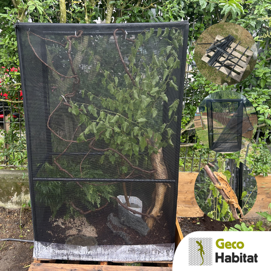 Geco habitat outdoor per sauri: terrario in rete 76x42x122 h cm