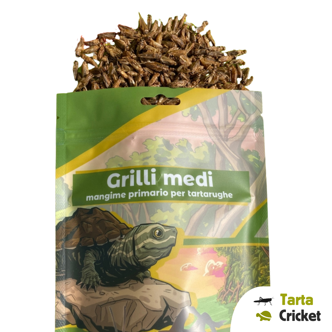 Grilli essiccati per tartarughe d'acqua dolce