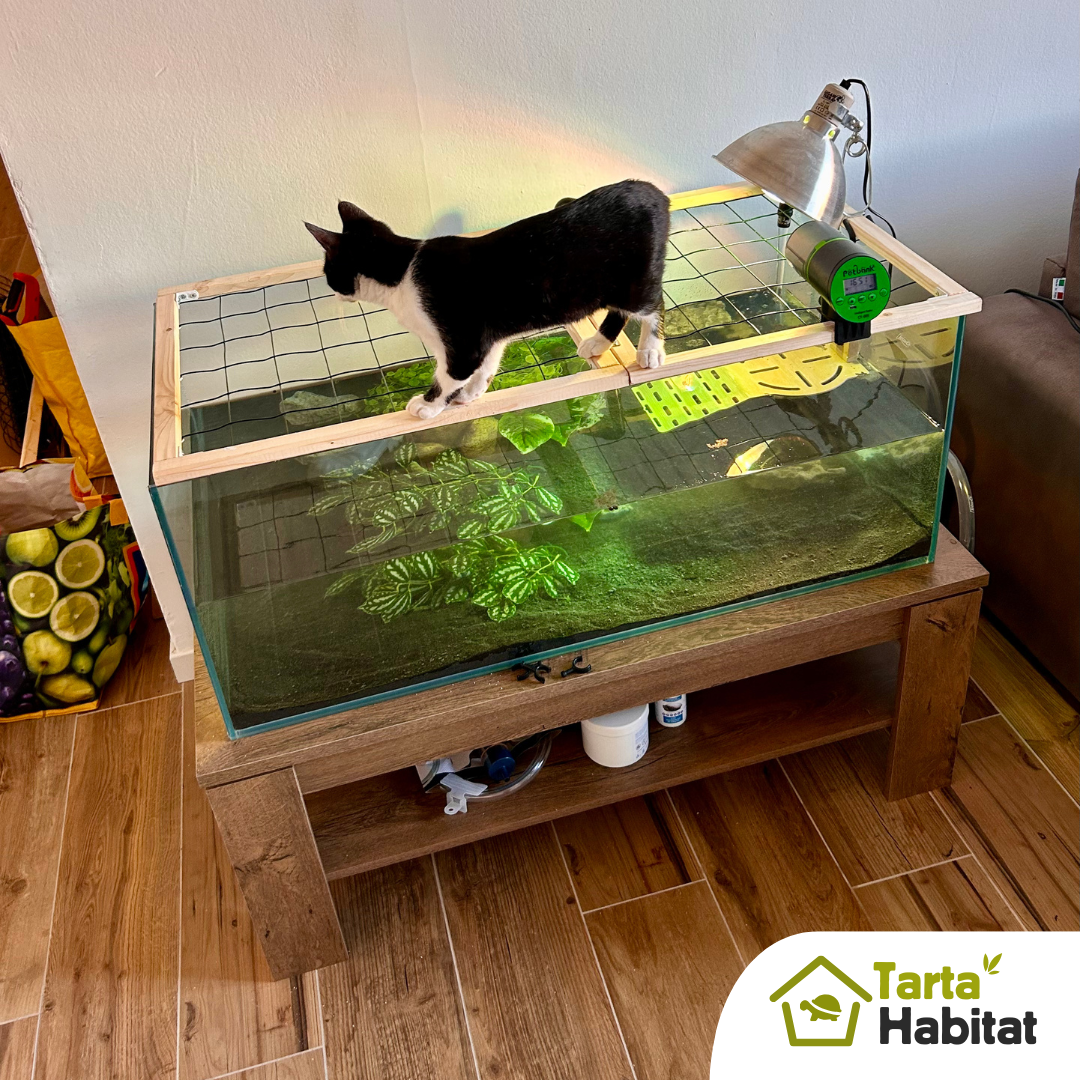 Tarta Habitat Acquario per tartarughe d'acqua 100x50x40/50 h cm