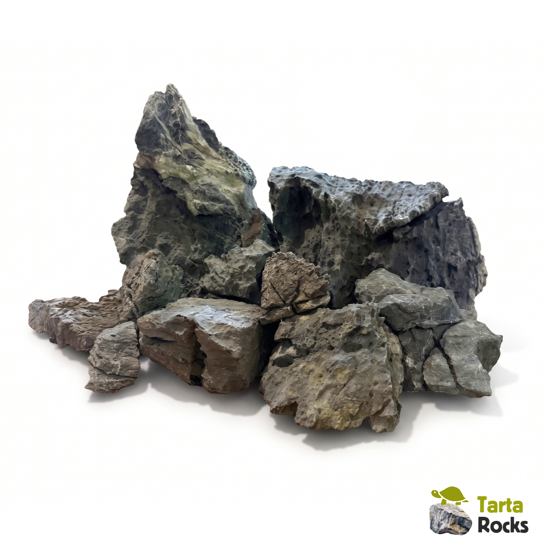 Kit di allestimento acquario tartarughe d'acqua 