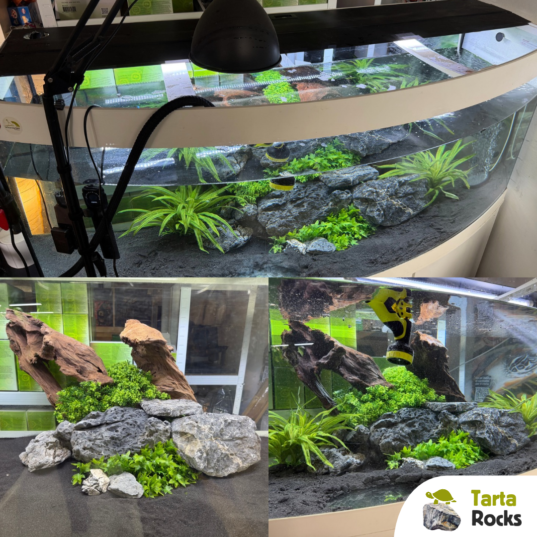 Kit di allestimento acquario tartarughe d'acqua 
