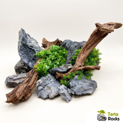 Kit di allestimento acquario tartarughe d'acqua 