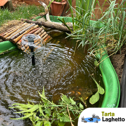 Laghetto per tartarughe piattaforma rigida da 600 litri