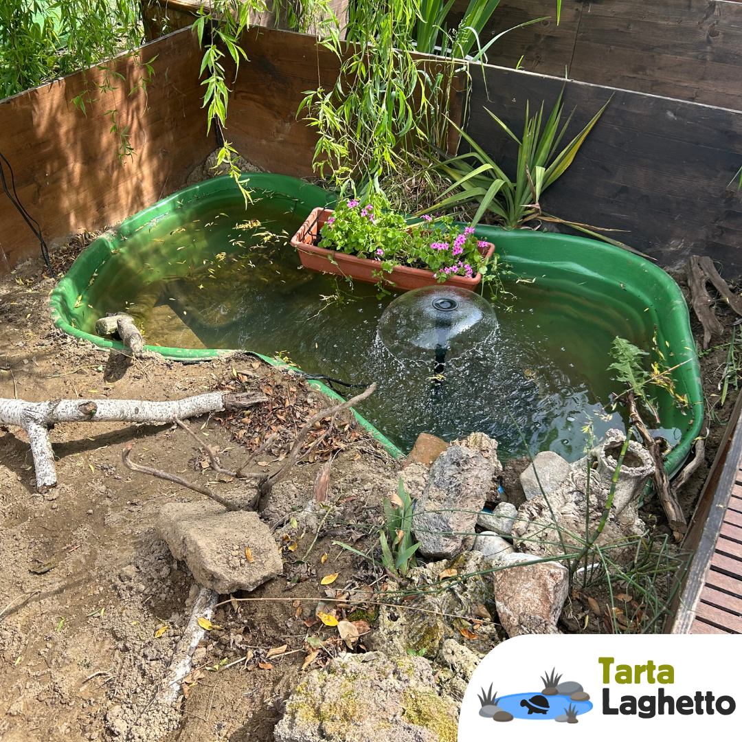 Laghetto per tartarughe piattaforma rigida da 600 litri