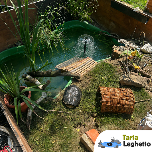 Laghetto per tartarughe piattaforma rigida da 600 litri