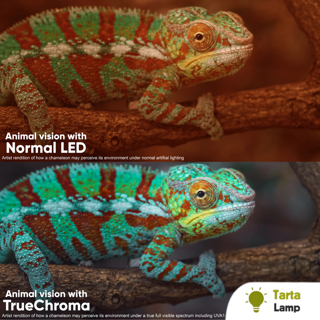 Lampada TRUECHROMA UVA1 spettro luminoso per rettili