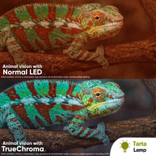 Lampada TRUECHROMA UVA1 spettro luminoso per rettili