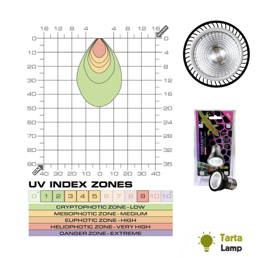 Lampada a Led Uvb 3Watt (No calore) per rettili