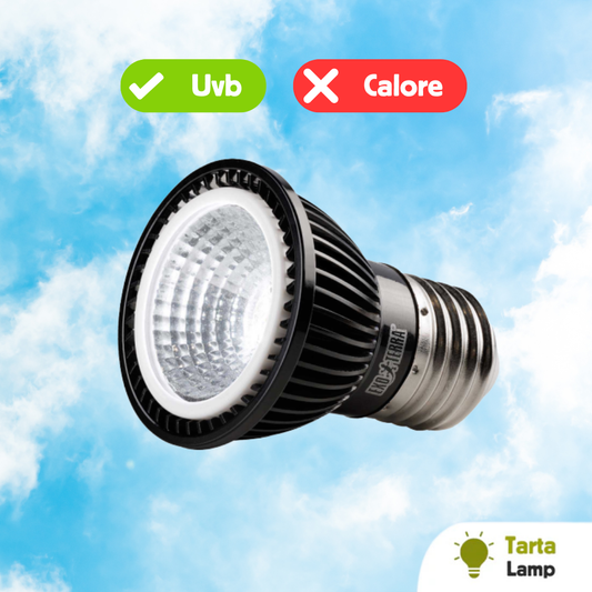 Lampada a Led Uvb 3Watt (No calore) per rettili