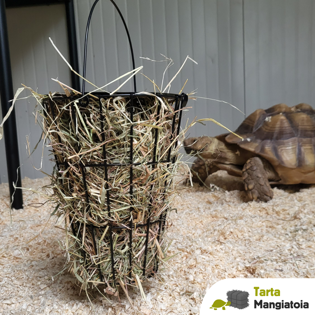 Mangiatoia per fieno tartarughe terrestri sulcata e pardalis
