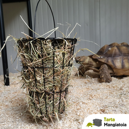 Mangiatoia per fieno tartarughe terrestri sulcata e pardalis