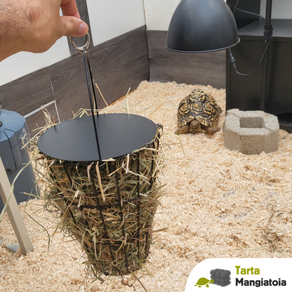 Mangiatoia per fieno tartarughe terrestri sulcata e pardalis