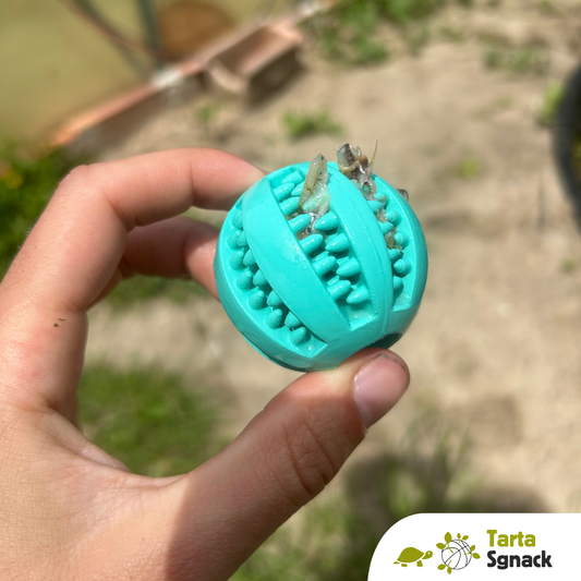 Mini Tarta SGNACK - gioco di attivazione mentale per tartarughe d'acqua