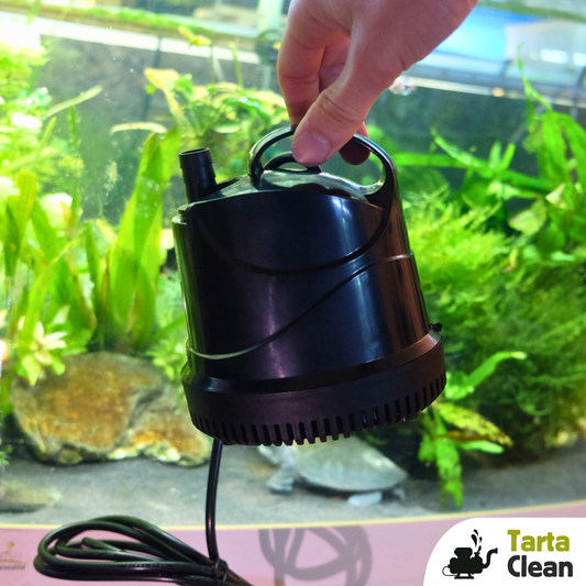 Pompa a immersione per svuotaggio acquari con tartarughe