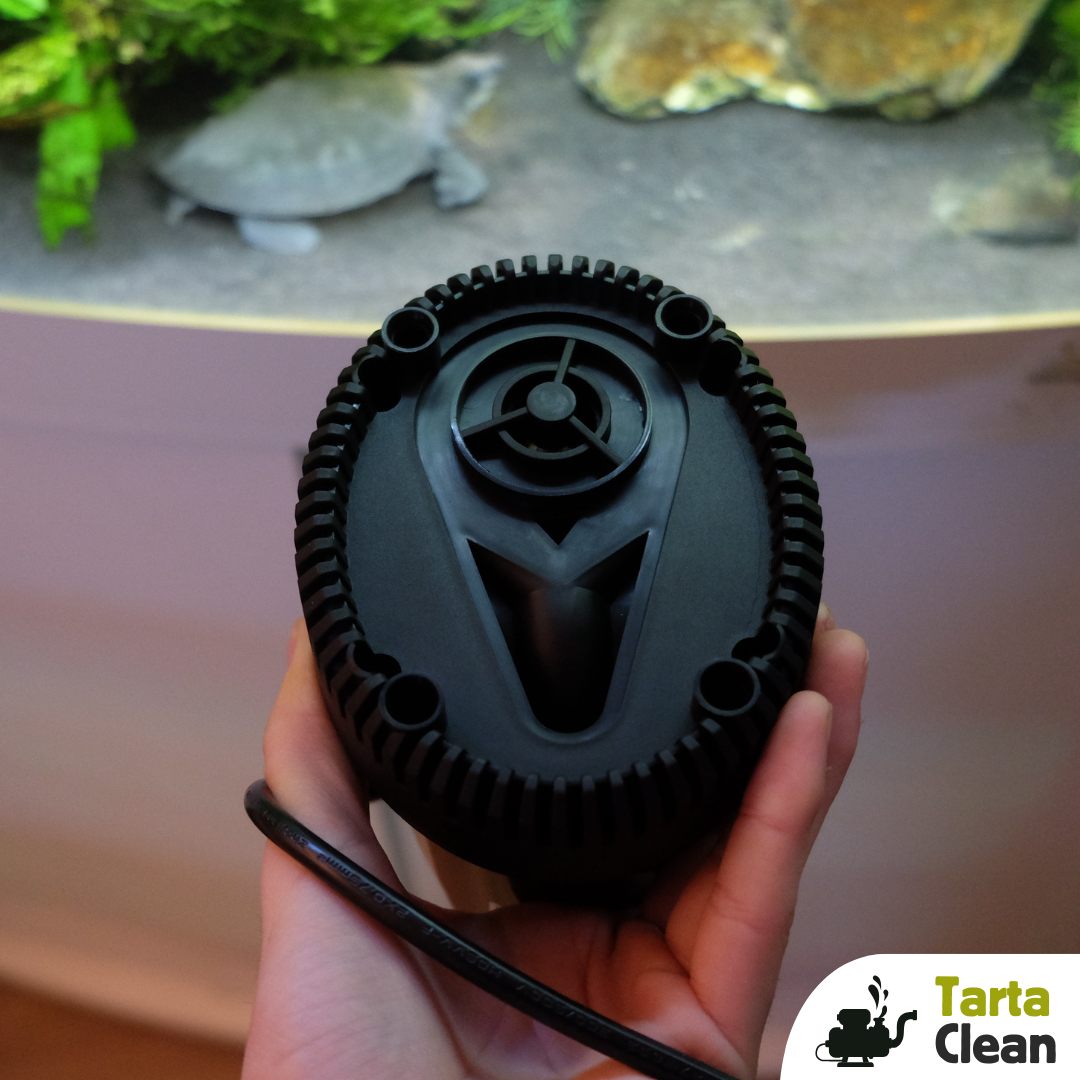 Pompa a immersione per svuotaggio acquari con tartarughe