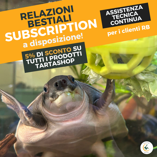 Relazioni Bestiali subscription assistenza etologica comportamentale per rettili e animali esotici