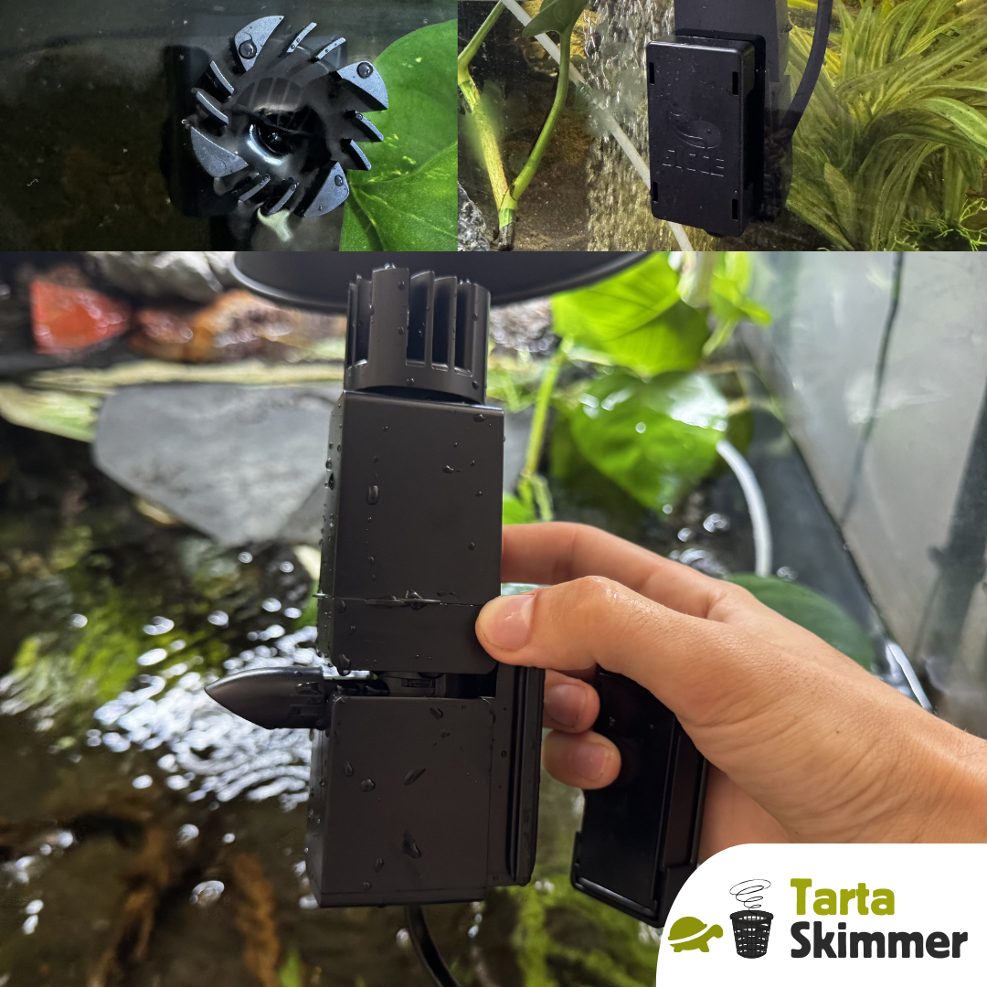 Skimmer per pulizia superficie acquario tartarughe
