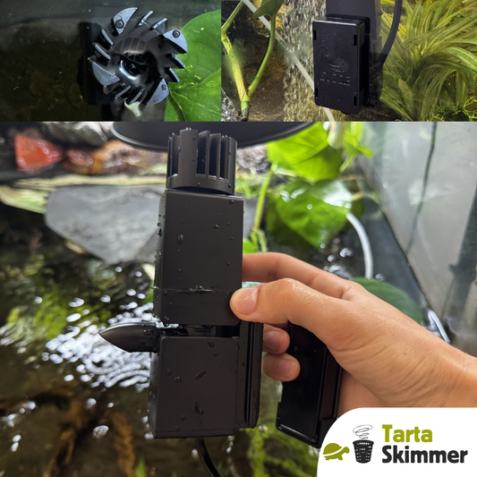 Skimmer per pulizia superficie acquario tartarughe