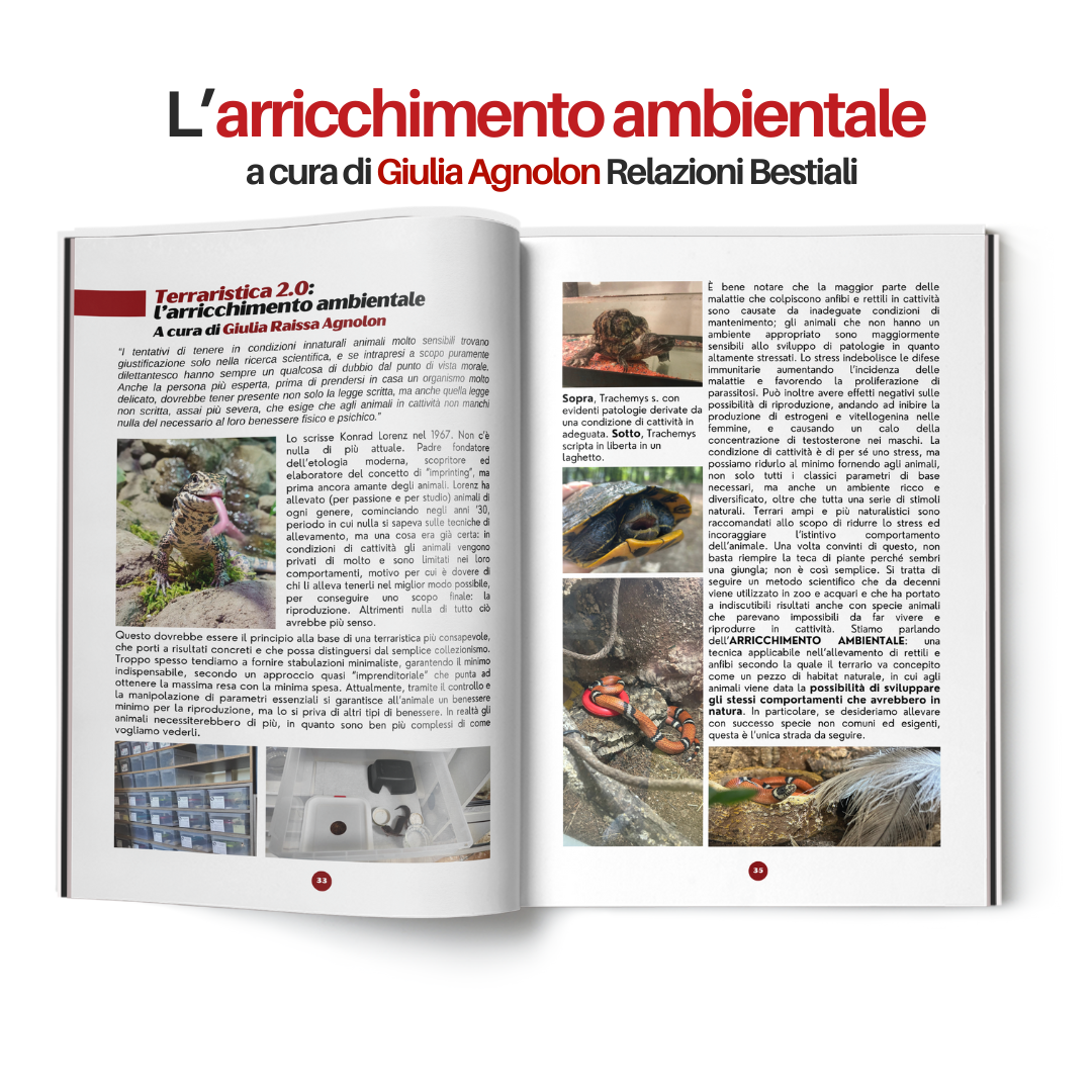 TartaGenius n°2 rivista tartarughe: Emydura subglobosa e Chelonoidis carbonaria