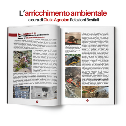 TartaGenius n°2 rivista tartarughe: Emydura subglobosa e Chelonoidis carbonaria