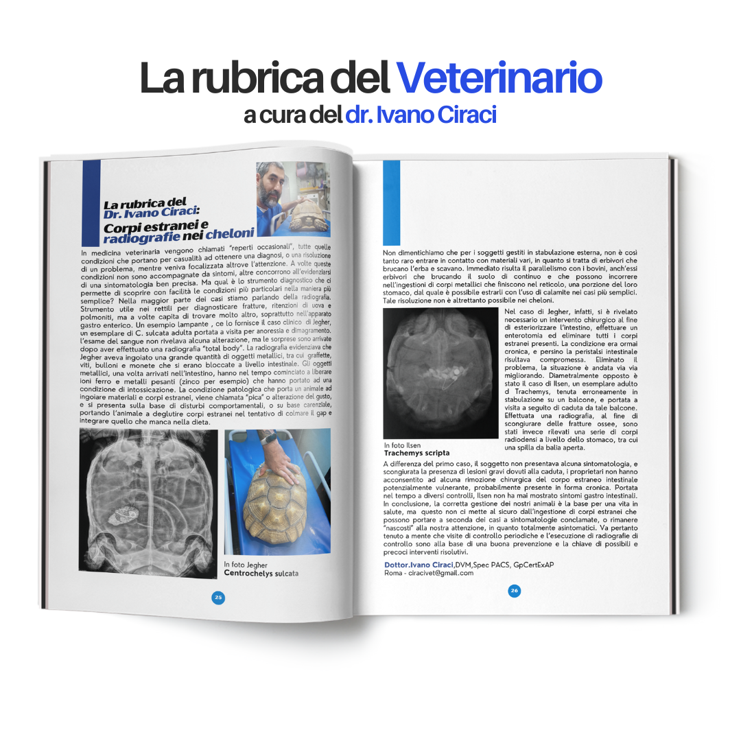 TartaGenius n°2 rivista tartarughe: Emydura subglobosa e Chelonoidis carbonaria