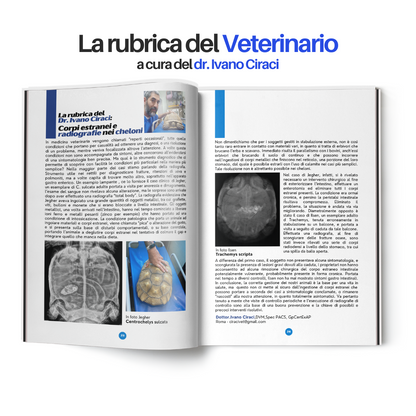 TartaGenius n°2 rivista tartarughe: Emydura subglobosa e Chelonoidis carbonaria
