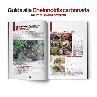 TartaGenius n°2 rivista tartarughe: Emydura subglobosa e Chelonoidis carbonaria