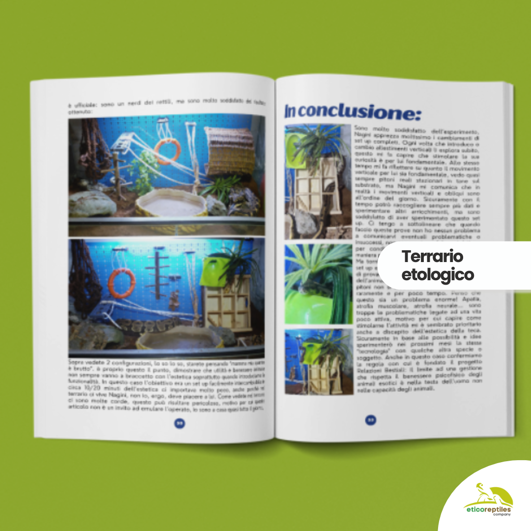 TartaGenius n°3 Pseudemys spp e Stigmochelys pardalis