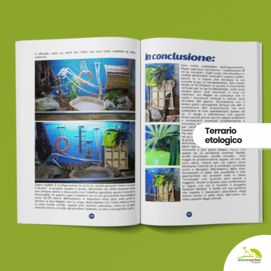 TartaGenius n°3 Pseudemys spp e Stigmochelys pardalis