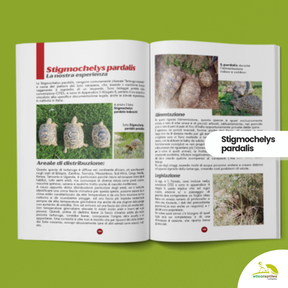 TartaGenius n°3 Pseudemys spp e Stigmochelys pardalis