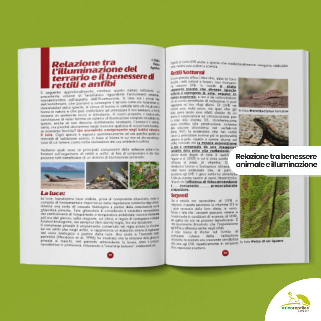 TartaGenius n°3 Pseudemys spp e Stigmochelys pardalis